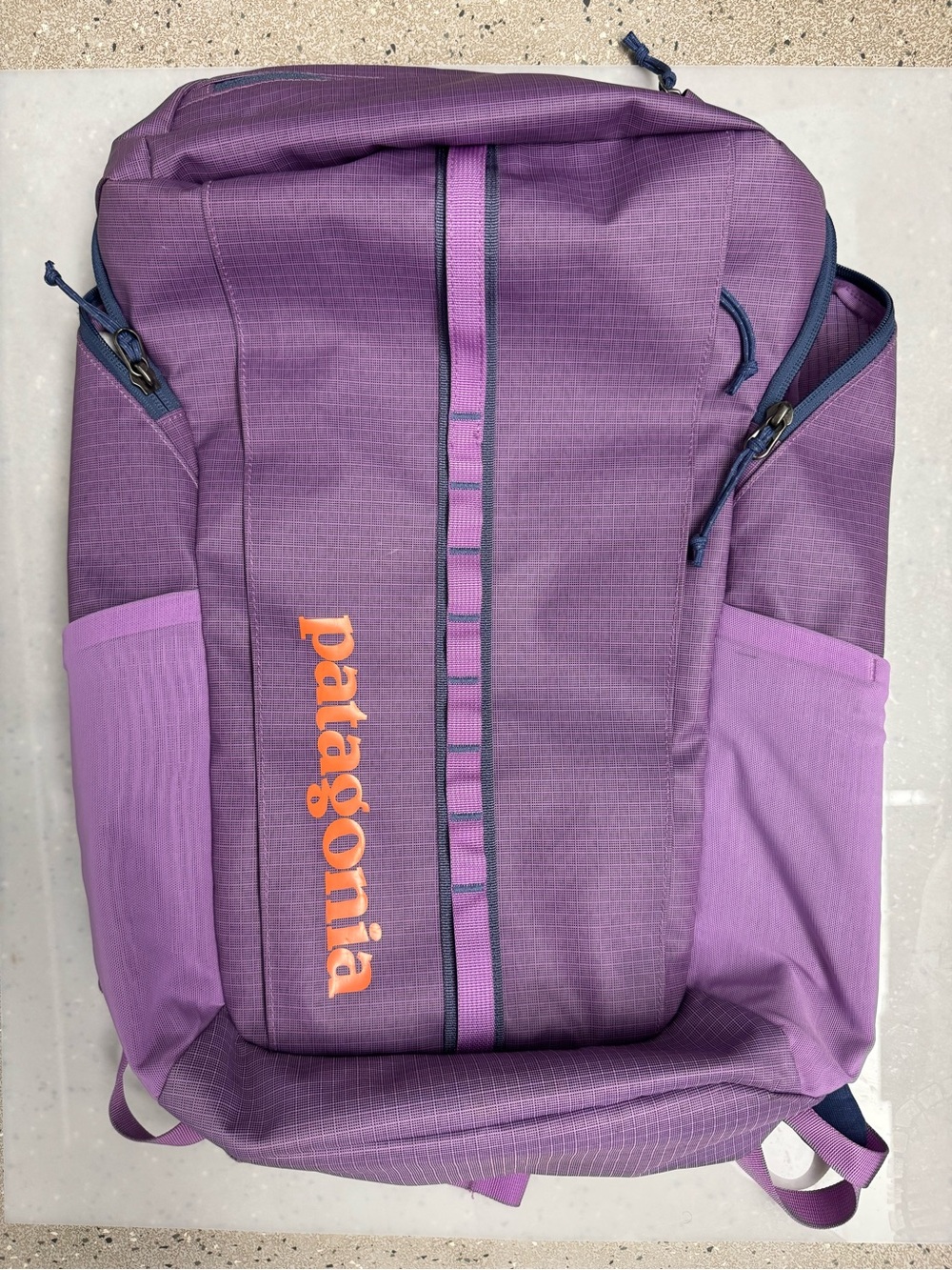 RARE Patagonia Black Hole in Purple 25L - Picture 1 of 10